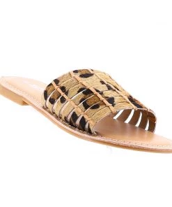 Human Pilgrim Slide - Ocelot