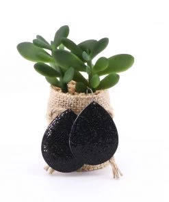 Holiday Cefalu Earrings - Black