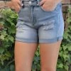 Silence & Noise Stretch Denim Shorts - SN3