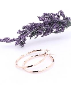 Stellar Rose Jewellery Twist Earrings